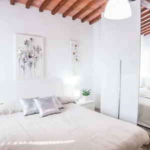 https://cascine-home-holidays.it-tuscanyhotel.com